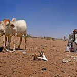 Crisis Narratives and the Ongoing Drought in Ethiopia