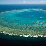 Why Dying Coral Reefs Will Bring Planetary Instability
