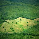 Deforestation and Climate Disruption Are Degrading the Amazon, Endangering Our Survival